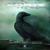 Carrion Crow - X-Chrome