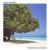 When I'm Gone - Albert Hammond