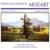 Concerto in D Major for Flute and Orchestra, No. 2, K. 314: III. Rondo. Allegretto - Arife Gülsen Tatu