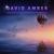 Summer Days - David Amber
