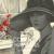 Ruby - Coleman Hawkins