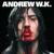 Fun Night - Andrew W.K.