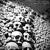 A Pit of Nazi Skulls - A Congregation of Horns
