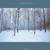 Continuous Winter - Jeffrey Louis-Reed