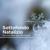 Festa Santa - Instrumental Christmas Music