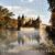 Sinfonie in B-Flat Major, Op. 5: I. Allegro - Nina Gurol