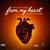 From My Heart - Skinny Rapture