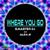 Where You Go - Nico Pusch