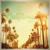 California - Mario Joy