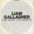 For What It's Worth - Liam Gallagher