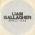 Greedy Soul - Liam Gallagher