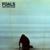 Lonely Hunter - Foals
