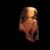 Get Born Again - Alice In Chains