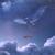 Whale - Iday