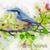Peaceful World Sounds (Birds and Water Relax) - Nature Sounds Music