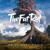 We'll Meet Again - TheFatRat