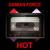 HOT - Damian Force