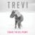 Sleepless - Trevi