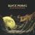 Black Moon Rising - Black Pumas