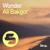 Wonder - Linier