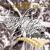Anytime, Anywhere - Sarah Brightman