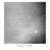 First Light - Ishmael Ensemble