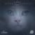 Internal Proceed - Flug