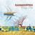 Nuovi schiavi - Radiodervish