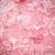 king - Slenderbodies