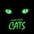Memory - Cats The Musical