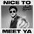 Nice To Meet Ya - Niall Horan