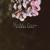 What We Said - Mandala Dreams