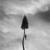 Lead, SD - Manchester Orchestra