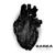 Perception - Sarea