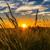 Stress Relief Music - Easy Listening Stress Relief Music