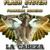 La Cabeza - Flash System