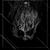 Abyss 3 - Sutekh Hexen