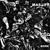 Nil by Mouth - Mastiff