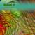 Natural Phenomenon - Rodney Torro