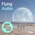 Flying - Anton Ishutin