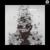 Skin to Bone - Linkin Park