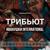 Тополиный пух - Allergia