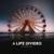 Life Goes On - A Life Divided