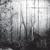 Apparition - Overlook