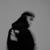Test My Love (Skeler Remix) (Official) - Lithe