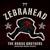 Down in Flames - Zebrahead