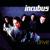 Favorite Things - Incubus