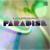 Paradise - Lucas Medeiros