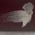 Decima - Katatonia