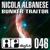 Traitor - Nicola Albanese